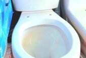 Sitting Toilet